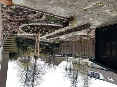 Vergroening tuin 20
